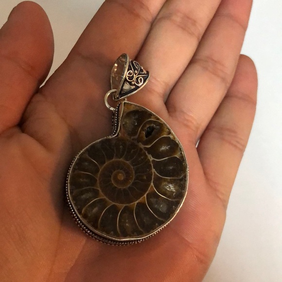 Ammonite Fossil Pendant - Picture 2 of 4